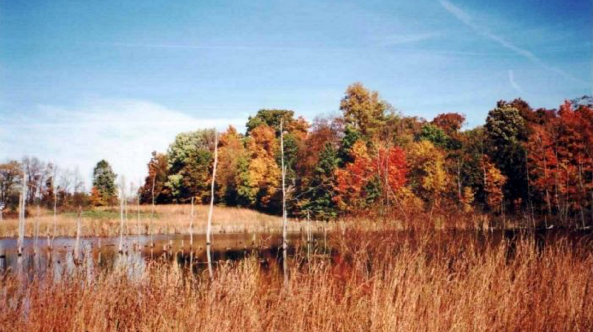 Shoreside at a small lake in the fall, with trees around the lake showing colors ranging from green, yellow, orange, and red.