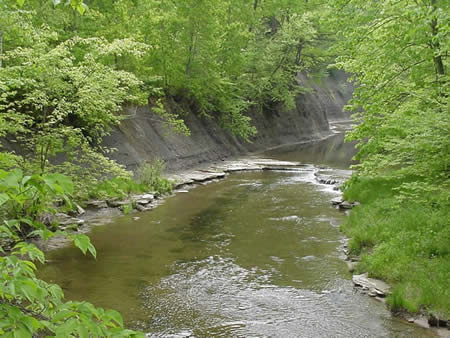 Cleveland Metroparks - The free Emerald Necklace publication outlines the  best ways to enjoy Cleveland Metroparks each month! Download the new  November issue at clevelandmetroparks.com/emeraldnecklace. | Facebook